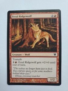 MTG Magic The Gathering Card Feral Ridgewolf Creature Wolf Red Innistrad 