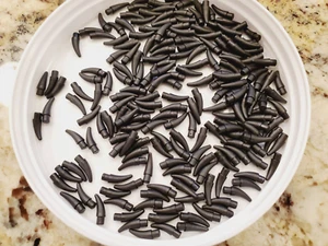 200x - LEGO Black Barb Claw Horn Tooth - Small (53451) Neu - Bild 1 von 1