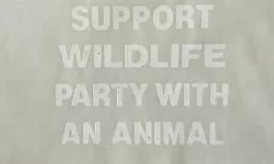 Original Vintage Support Wildlife Party mit einem Tier Mini Aufbügeln Transfer - Bild 1 von 1