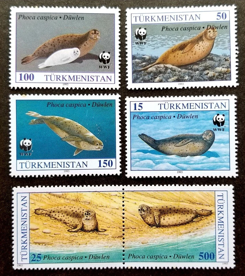 *ENVÍO GRATUITO Turkmenistán WWF Sello Caspio 1993 Vida Marina (sello) MNH *ver escaneo Foto 1 de 4