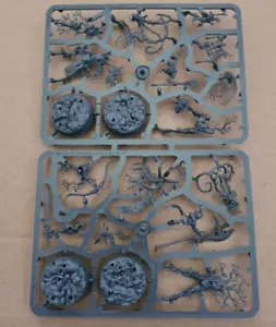 Ylthari ́s Guardians Sylvaneth Nightvault Underworlds WARHAMMER AOS - Picture 1 of 2