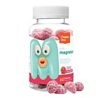 Chapter One Magnesium Gummies, Calm Gummies for Kids and Adults, Kosher (Raspber