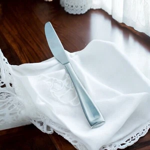 Oneida MODA Stainless Silverware 18/10 Flat Raised Tip Flatware Dinner Knife - Picture 1 of 5