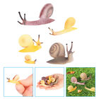  5 Pcs Simulation Snail Toy Figurine Realistic Figures Ornaments