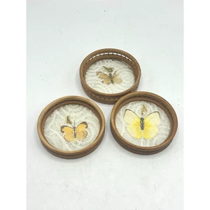 Vintage Bamboo Pressed Butterfly Coasters 3 Boho Gardencore Cottagecore MCM - Picture 1 of 11