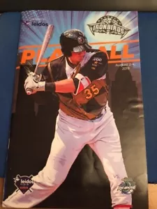 ADLEY RUTSCHMAN ABERDEEN IRONBIRDS BALTIMORE ORIOLES 2019 1st EVER program RARE - Picture 1 of 1