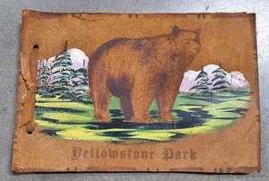 Álbum de fotos de recuerdo de cuero del Parque Nacional de Yellowstone de colección en blanco en el interior - Imagen 1 de 8