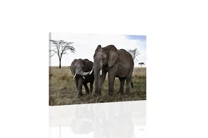 African Elephants  - CANVAS OR PRINT WALL ART - Picture 1 of 2