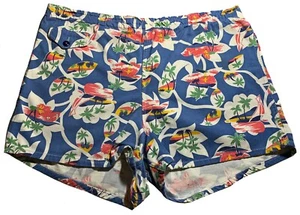 BROCKWAY Vintage 60s Men's Swim Trunks - Sz 36 - California Surfer Print - Blue - Picture 1 of 10