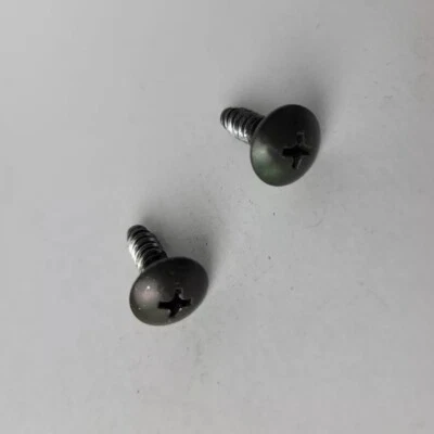 2007-2012 Nissan Sentra Sun Visor Screws Set of 2 OEM - Image 1 of 2