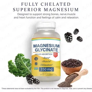 Magnesium Glycinate Complex4 in 1 - 350mg per serving | Precise Elementa 60/120X - Picture 1 of 12