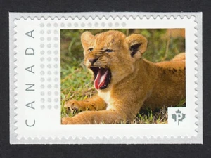 LION CUB, Wild Cat = Picture Postage stamp MNH Canada 2015 [p15-07-ct1/2] - Picture 1 of 2