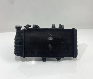 ♻️ BMW F800GT F 800 GT 2013 - 2020 Complete Radiator with Fan & Cap ♻️ - Picture 1 of 18