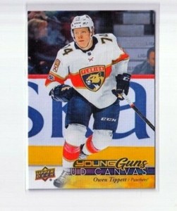 OWEN TIPPETT '17/18 Upper Deck Series 2 YOUNG GUNS CANVAS rookie card #C227