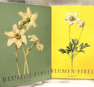 Blumen Fibel Flower ID’s Elsa Felsko Flower Illustrated Books 1960 German HC/DJ - Foto 1 di 16