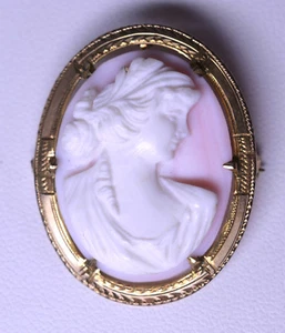 ANTIQUE 10K YELLOW GOLD CONCH SHELL CAMEO PIN PENDANT 1 3/16 INCHES HIGH - Picture 1 of 10