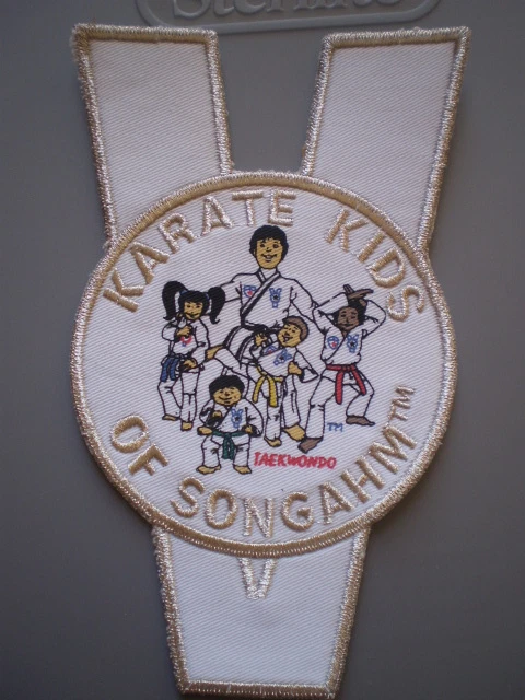 Karate Kids of Songahm Taekwondo Patch Silver edges NEW - Image 1 of 1