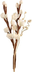 Reed Diffuser Sticks, Flower with Rattan Brown - Picture 1 of 6