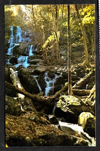 SHENANDOAH NATIONAL PARK VIRGINIA 1983 POSTCARD DARK HOLLOW FALLS HOGCAMP BRANCH - Picture 1 of 2