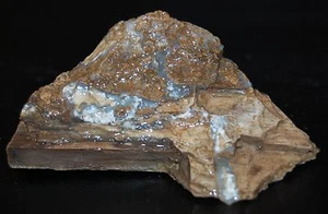 Antiguo Stock Espécimen de Madera Petrificada Transparente Blanco Azul Bosque Botrioidal 5+ oz. - Imagen 1 de 7