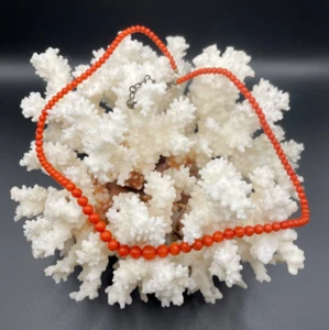 Exquisita cadena de coral rojo / collar con cierre de plata 835 - Imagen 1 de 10