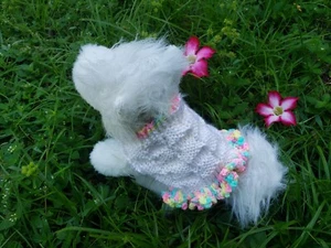 XXS handmade knit dog sweater dress - Picture 1 of 1