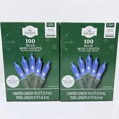 Tempo de férias - 100 mini luzes de Natal LED azuis fio verde Qtd. 2 - Imagem 1 de 4