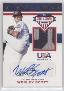 2017 USA Baseball Stars & Stripes and Signatures Prime /25 Wesley Scott #61 Auto