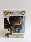 Hermione Granger with Sorting Hat 69 Funko Pop Vinyl - Harry Potter