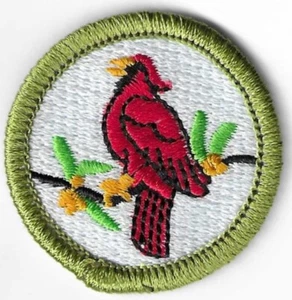 BSA BIRD STUDY MERIT BADGE CURRENT MINT NWT TYPE L SINCE 1910 BACK #2 BIG TAIL - Picture 1 of 3
