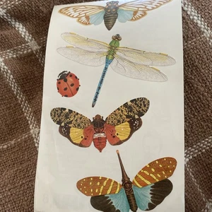 mrs. grossman's stickers Insects Rare Big Dragonfly Moth Studio Life Ladybug - Picture 1 of 2