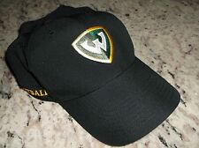 Nike Legacy 91 Wayne State University Warriors Football Hat Cap Adjustable