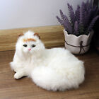Simulated Cat Animal Model, White Cat Ornament Doll Model