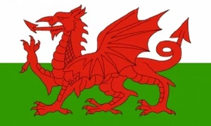 WALES Welsh Dragon FLAG 18" X 12" for boats treehouses caravans boat caravan - Picture 1 of 1