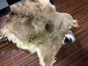 WHITETAIL DEER HIDE~ DEERSKIN PELT WITH HAIR ON ~ CABIN RUG ~ HOME DECOR ~ SOFT - Picture 1 of 1