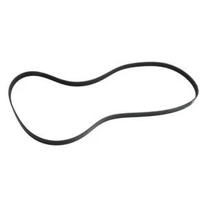 Black Serpentine Drive Belt Fits for Hyundai Elantra 2017 2018 2019 2020 - Foto 1 di 7
