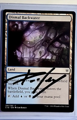 2016 MTG Magic the Gathering AP Artist Proof C16 Auto Autograph Dismal Backwater - Image 1 of 2