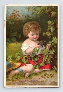 Victorian Trade Card Niagara Gloss Starch Cute Little Girl Grapes 2.5" x 4" - Picture 1 of 2
