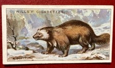 (A97) WILLS’s “DO YOU KNOW” 3rd SERIES (1926)  CIGARETTE CARD No. 23