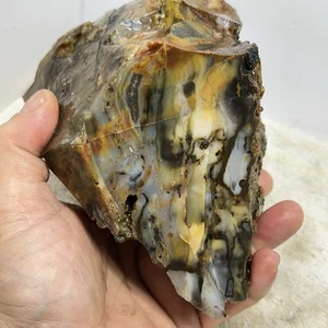 4lb 7oz Polka Dot Agate. Madras Oregon Lapidary Rough For Slabbing, Cabbing 004 - Picture 1 of 11