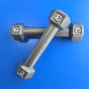 Lot of 2 Vintage Silver Cast Iron 3 Pound LB Dumbbell Hex Weight Weights Pair - Picture 1 of 4