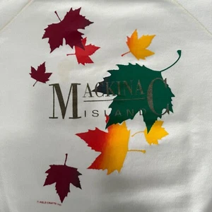 Hanes Mackinac Island Sweatshirt Vtg Retro 1990s Graphic Crewneck L Cottagecore - Picture 1 of 8