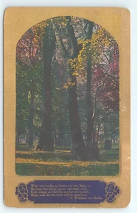 Postcard The Davis Supply Co Advertising Landscape Poem Wolfgan von Goethe - Picture 1 of 3