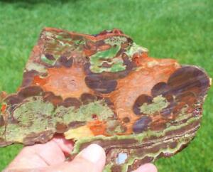 MUSHROOM JASPER Rock,Mineral,Cab,slab,gem,230 gram cut slab,lapidary,rough