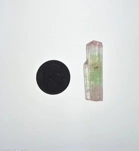 Tourmaline Bi Color 42 Carats Top Quality Terminated Gem Crystal Afghanistan - Bild 1 von 6
