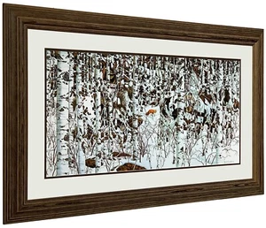 WOODLAND ENCOUNTER Art Print by Bev Doolittle Matted and Framed - Picture 1 of 1