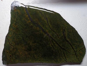 WRG- Frogskin Serpentine Slab 211 grams Wyoming Lapidary - Picture 1 of 4
