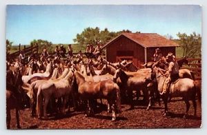Typical Montana Ranch Scene Vintage Postcard P2 - Picture 1 of 2