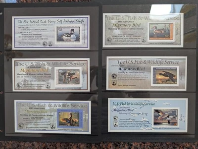 Lot 6 U.S. Fish & Wildlife Migratory Bird Stamps 1998-2003 Unsigned - Image 1 of 4