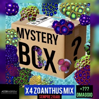 ✅NEW 2023 SPECIALE BOX SORPRESA ZOANTHUS CORALLI MOLLI COLORATI ACQUARIO MARINO - Immagine 1 di 4